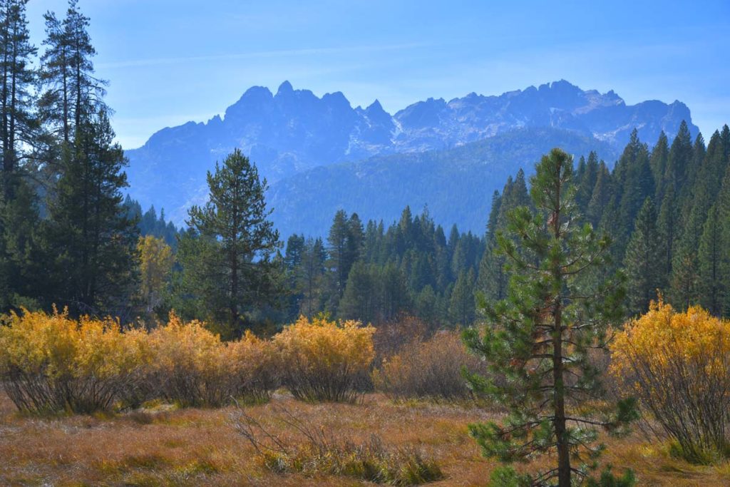 Sierra Buttes fall color